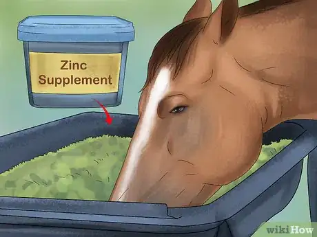 Image titled Give Your Horse the Right Supplements Step 16