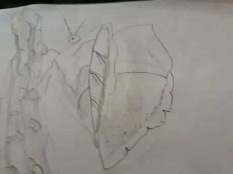 Image titled 20180706_142205