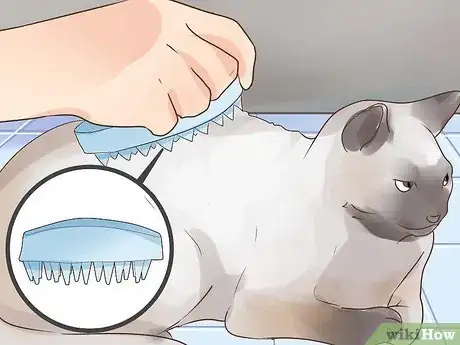 Image titled Prevent Cat Hairballs Step 2