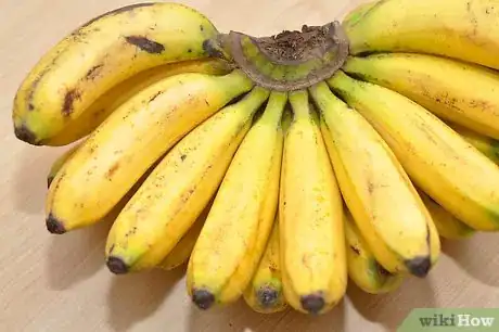 Image titled Treat Salmonella Step 4