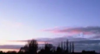 Use a Canon T50 35mm Camera