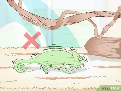 Image titled Prevent MBD in Chameleons Step 11