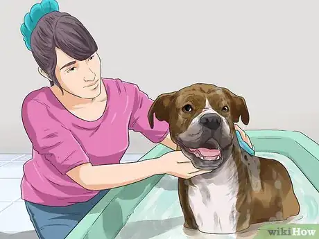 Image titled Protect Your Dog Around Natural Water Sources Step 4