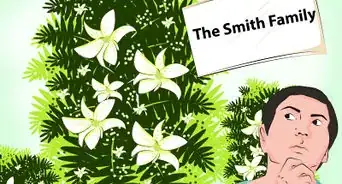 Buy Flowers for a Funeral