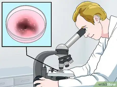 Image titled Test a Home for Mold Step 3