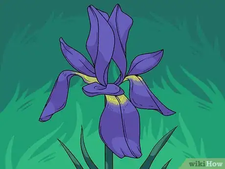 Image titled Draw Flowers Step 37