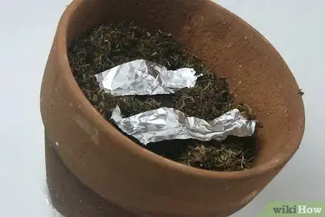 Image titled Use Aluminum Foil for Gardening Step 3
