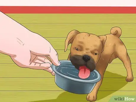 Image titled Care for Puggles Step 6