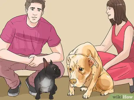 Image titled Dog‐Sit when You Have a Small Pet Step 1