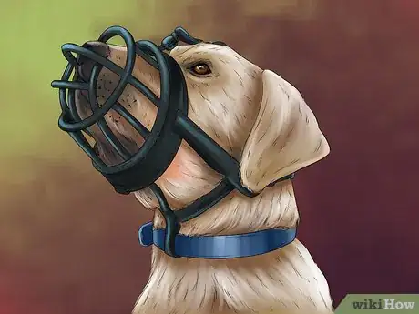 Image titled Keep Your Dog and Other Dogs Safe at the Vet Step 5