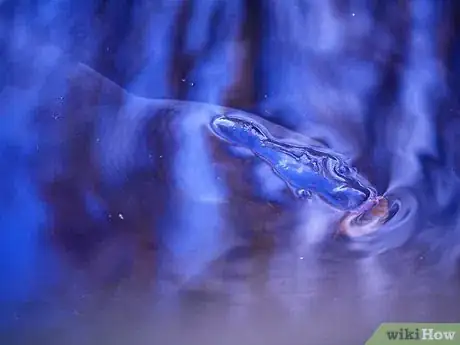 Image titled Find a Good Bass Fishing Spot Step 3