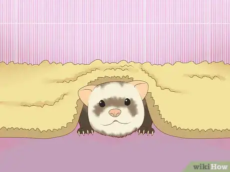 Image titled Exercise Your Ferret in a Playpen Step 3