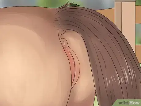 Image titled Prepare a Mare for Foaling Step 8