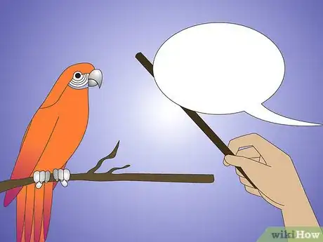 Image titled Teach Your Parrot to Wave Hello Step 5