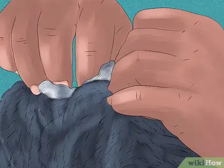 Image titled Give Tricyclic Antidepressants to a Cat Step 20