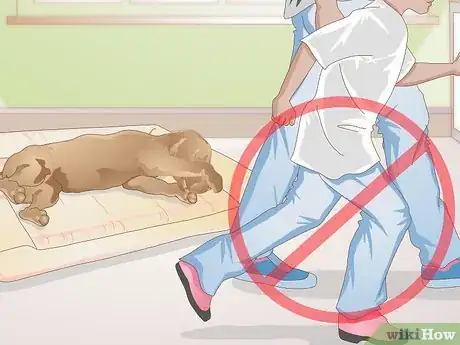 Image titled Select a Dog Bed Step 13
