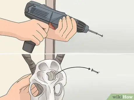 Image titled Do a European Mount Step 14