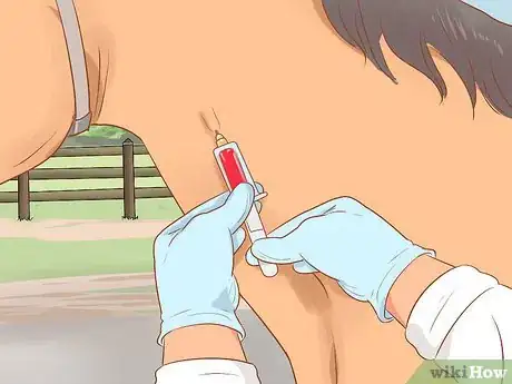 Image titled Draw a Horse's Blood Step 9