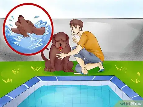 Image titled Protect Your Dog Around Backyard Pools Step 5