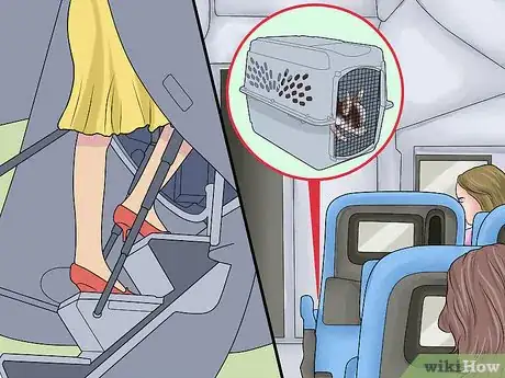 Image titled Fly Internationally With a Dog Step 15
