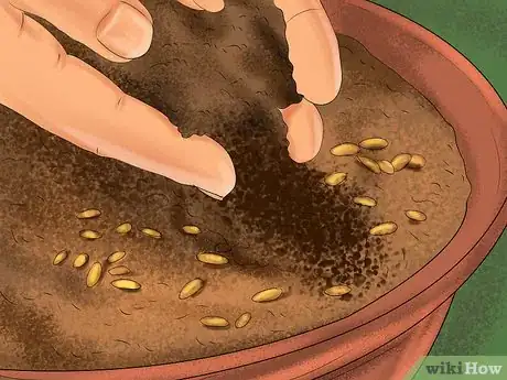 Image titled Give Cat Grass to a Cat Step 8