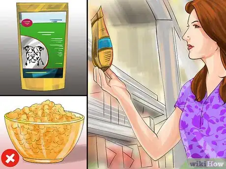 Image titled Help an Itching Dog Step 5