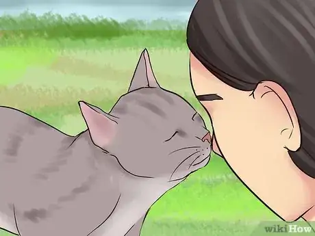 Image titled Get Your Cat to Know and Love You Step 15