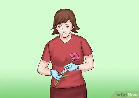 Image titled Cut from a Pansy Plant Step 2Bullet1