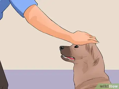 Image titled Keep Elderly Family Safe Around Active Dogs Step 9