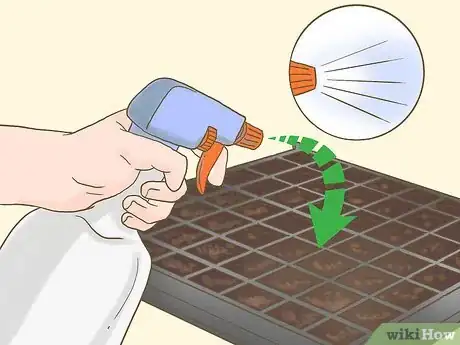 Image titled Grow Seedless Watermelons Step 6