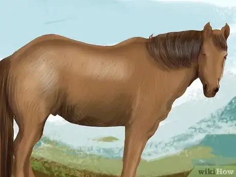 Image titled Monitor a Horse's Weight in Winter Step 5