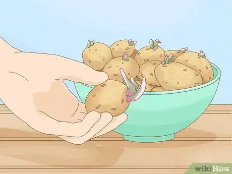 Image titled Grow Irish Potatoes Step 4