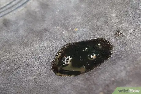 Image titled Get Oil Out of Suede Step 7