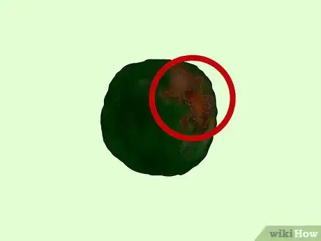 Image titled Clean an Aquatic Moss Ball Step 5