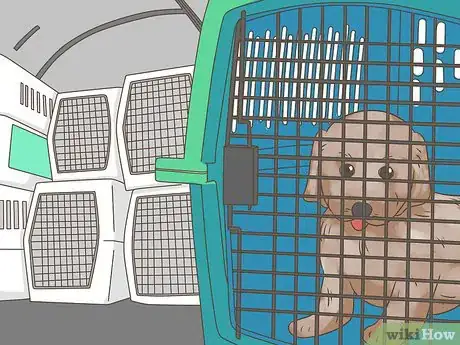 Image titled Fly with Pets Step 5