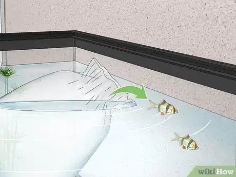 Image titled Acclimate Your Fish to a New Aquarium Step 14