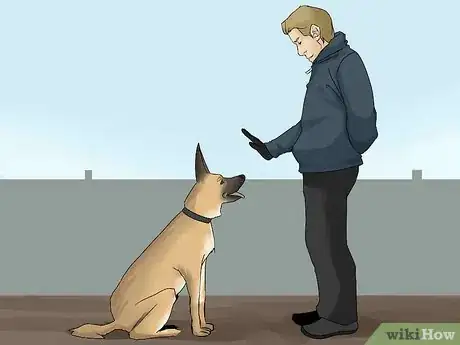 Image titled Avoid Liability Issues in K9 Police Units Step 5