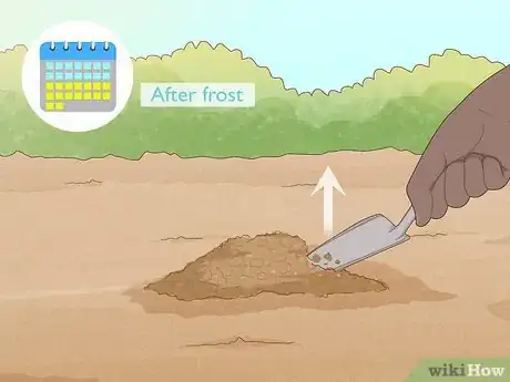 Image titled Grow and Care for Peonies Step 13