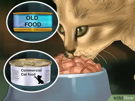 Image titled Diagnose and Treat Vitamin A Toxicity in Cats Step 6