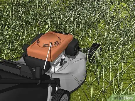 Image titled Keep Hobo Spiders Out of the House Step 2