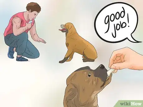 Image titled Prepare Your Dog to Go Off‐Leash Step 5