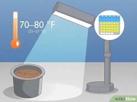 Image titled Propagate Pitcher Plants Step 18