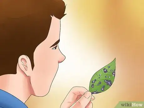 Image titled Care for a Weeping Cherry Tree Step 21