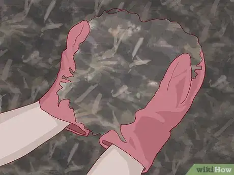 Image titled Prepare Your Garden for Winter Step 12