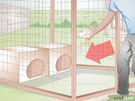 Image titled Look After Baby Chicks Step 10