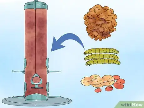 Image titled Help a Nesting Bird Step 4