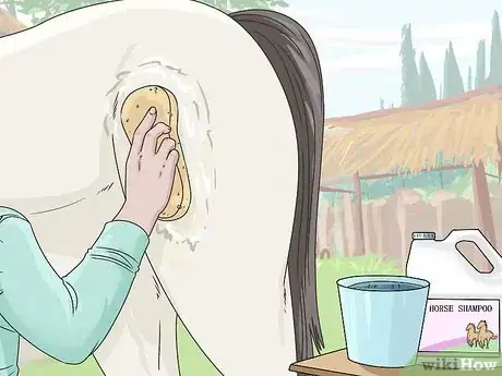 Image titled Clean a Horse Step 9