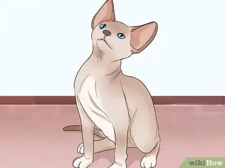 Image titled Choose a Hypoallergenic Cat Breed Step 2