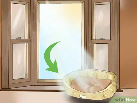 Image titled Adopt an Old Cat Step 4