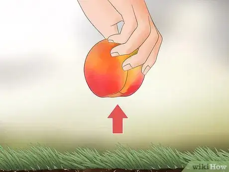 Image titled Keep Rats Away from Your Home Step 8